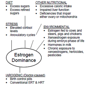 Estrogen-dominance-2